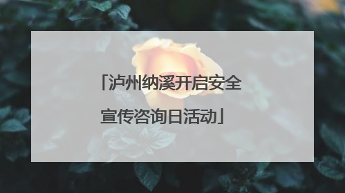 泸州纳溪开启安全宣传咨询日活动