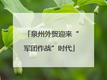 泉州外贸迎来“军团作战”时代