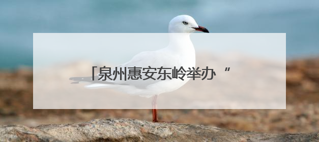 泉州惠安东岭举办“镜遇东岭风情，影映惠女风采”采风活动