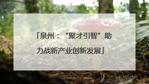 泉州：“聚才引智”助力战新产业创新发展