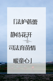 法护蓓蕾静待花开 司法育苗情暖童心