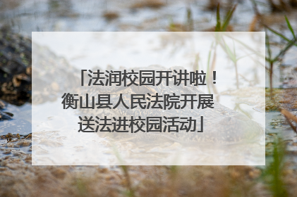 法润校园开讲啦！衡山县人民法院开展 送法进校园活动