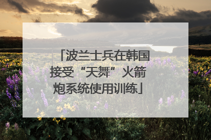 波兰士兵在韩国接受“天舞”火箭炮系统使用训练