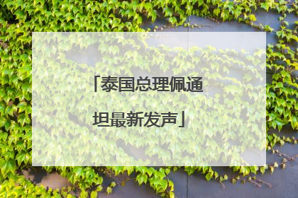 泰国总理佩通坦最新发声