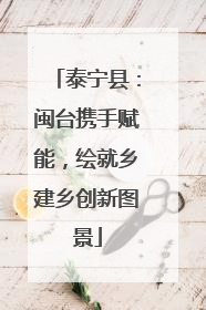 泰宁县：闽台携手赋能，绘就乡建乡创新图景