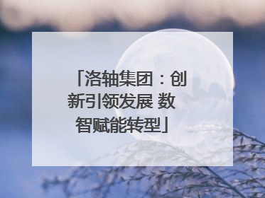 洛轴集团：创新引领发展 数智赋能转型