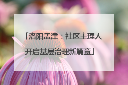 洛阳孟津：社区主理人开启基层治理新篇章