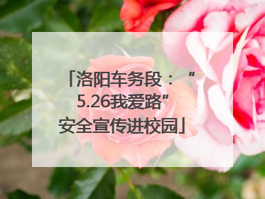 洛阳车务段：“5.26我爱路”安全宣传进校园