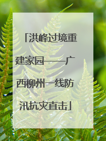 洪峰过境重建家园——广西柳州一线防汛抗灾直击