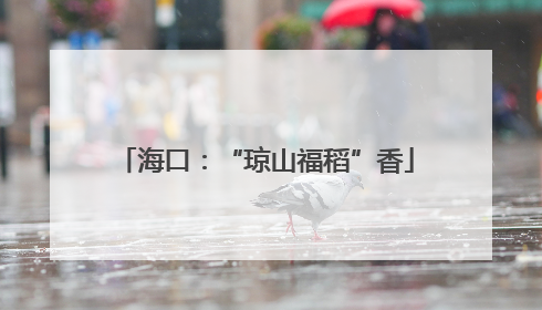 海口：“琼山福稻”香