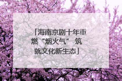 海南京剧十年重燃“烟火气” 筑就文化新生态