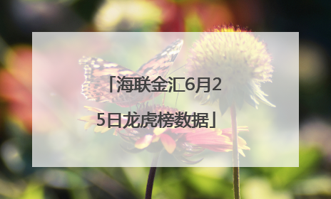 海联金汇6月25日龙虎榜数据