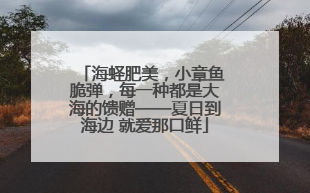 海蛏肥美，小章鱼脆弹，每一种都是大海的馈赠——夏日到海边 就爱那口鲜