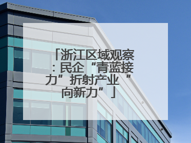 浙江区域观察：民企“青蓝接力”折射产业“向新力”