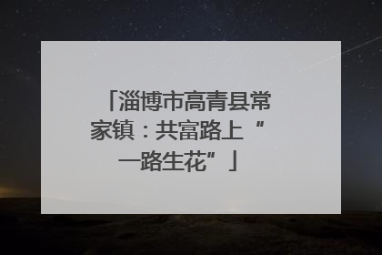 淄博市高青县常家镇：共富路上“一路生花”