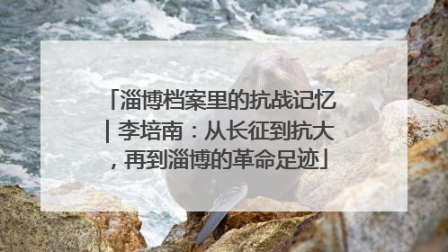 淄博档案里的抗战记忆｜李培南：从长征到抗大，再到淄博的革命足迹