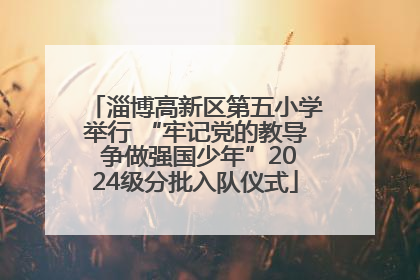 淄博高新区第五小学举行 “牢记党的教导 争做强国少年”2024级分批入队仪式