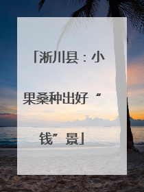 淅川县：小果桑种出好“钱”景