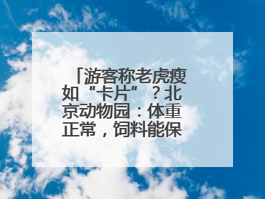 游客称老虎瘦如“卡片”？北京动物园：体重正常，饲料能保障营养需求