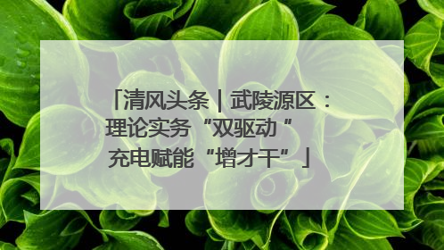 清风头条｜武陵源区：理论实务“双驱动 ” 充电赋能“增才干”