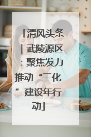 清风头条｜武陵源区：聚焦发力推动“三化”建设年行动
