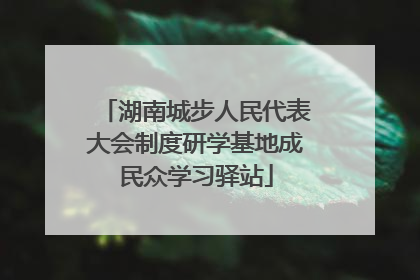 湖南城步人民代表大会制度研学基地成民众学习驿站
