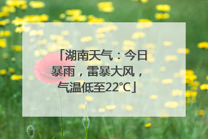 湖南天气：今日暴雨，雷暴大风，气温低至22℃