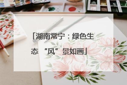 湖南常宁：绿色生态 “风”景如画