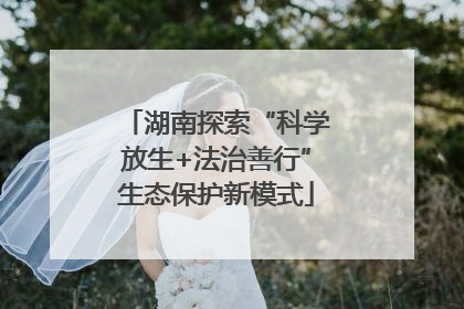 湖南探索“科学放生+法治善行”生态保护新模式