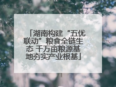 湖南构建“五优联动”粮食全链生态 千万亩粮源基地夯实产业根基