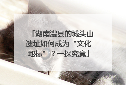 湖南澧县的城头山遗址如何成为“文化地标”？一探究竟