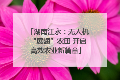 湖南江永：无人机“展翅”农田 开启高效农业新篇章