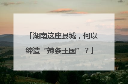 湖南这座县城，何以缔造“辣条王国”？