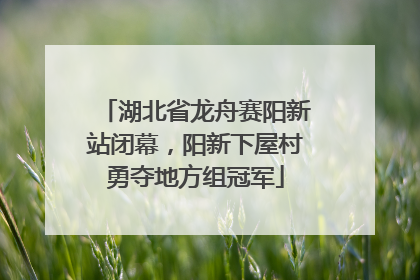 湖北省龙舟赛阳新站闭幕，阳新下屋村勇夺地方组冠军