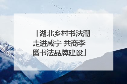 湖北乡村书法潮走进咸宁 共商李邕书法品牌建设