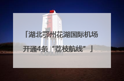 湖北鄂州花湖国际机场开通4条“荔枝航线”