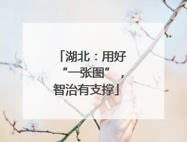 湖北：用好“一张图”，智治有支撑