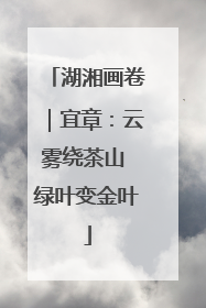 湖湘画卷｜宜章：云雾绕茶山 绿叶变金叶