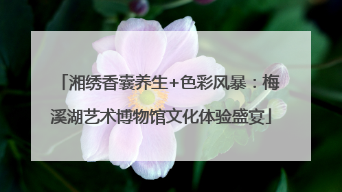 湘绣香囊养生+色彩风暴：梅溪湖艺术博物馆文化体验盛宴