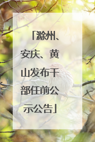 滁州、安庆、黄山发布干部任前公示公告