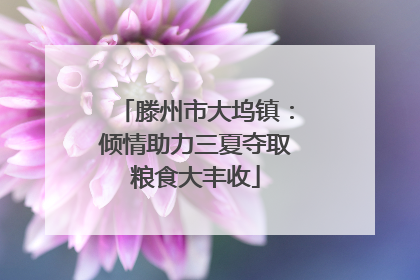 滕州市大坞镇：倾情助力三夏夺取粮食大丰收