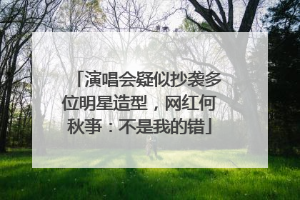 演唱会疑似抄袭多位明星造型，网红何秋亊：不是我的错