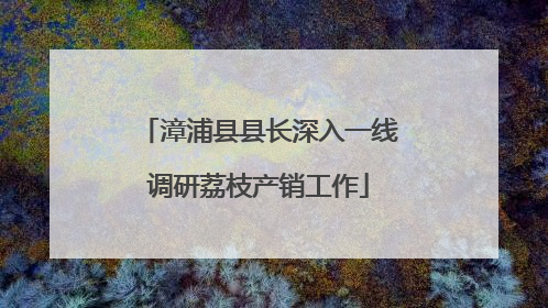 漳浦县县长深入一线调研荔枝产销工作