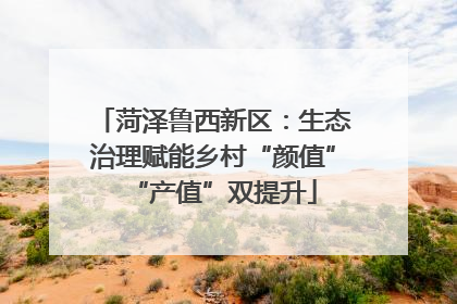 菏泽鲁西新区：生态治理赋能乡村“颜值”“产值”双提升