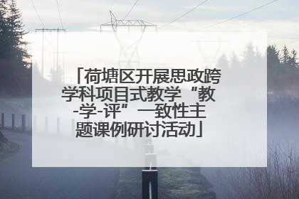 荷塘区开展思政跨学科项目式教学“教-学-评”一致性主题课例研讨活动