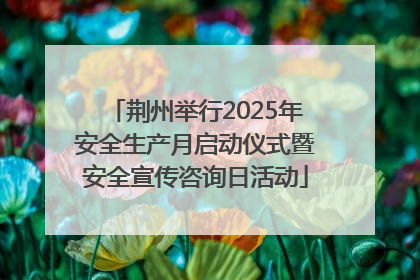 荆州举行2025年安全生产月启动仪式暨安全宣传咨询日活动