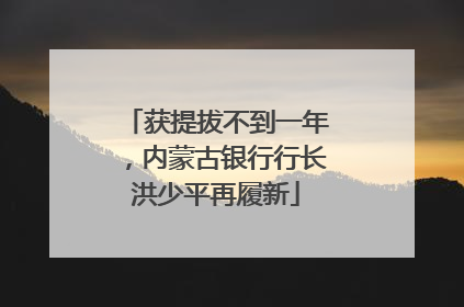 获提拔不到一年，内蒙古银行行长洪少平再履新