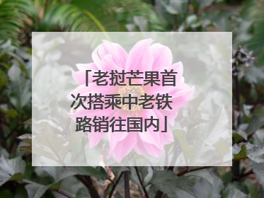 老挝芒果首次搭乘中老铁路销往国内