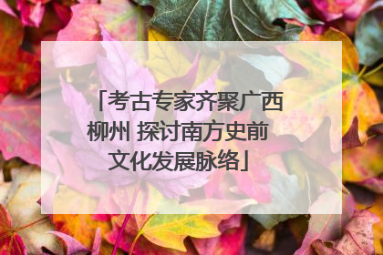 考古专家齐聚广西柳州 探讨南方史前文化发展脉络