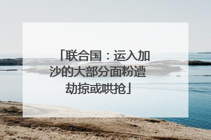 联合国：运入加沙的大部分面粉遭劫掠或哄抢